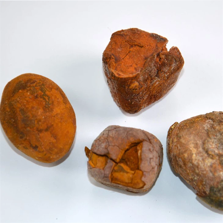 بوائین گالسٹون کو کیسے اسٹور کیا جائے۔